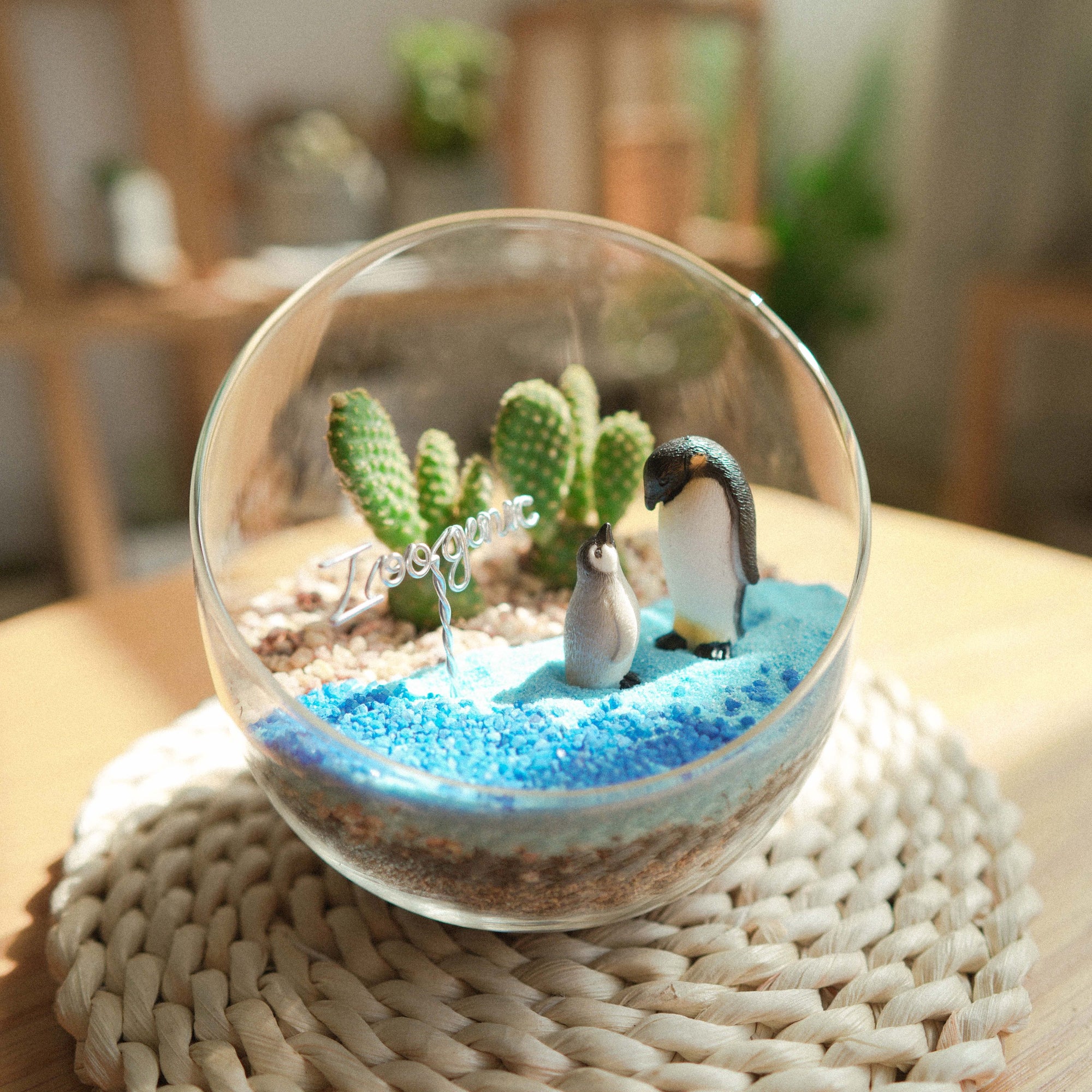 夏日冰極盆景工作坊