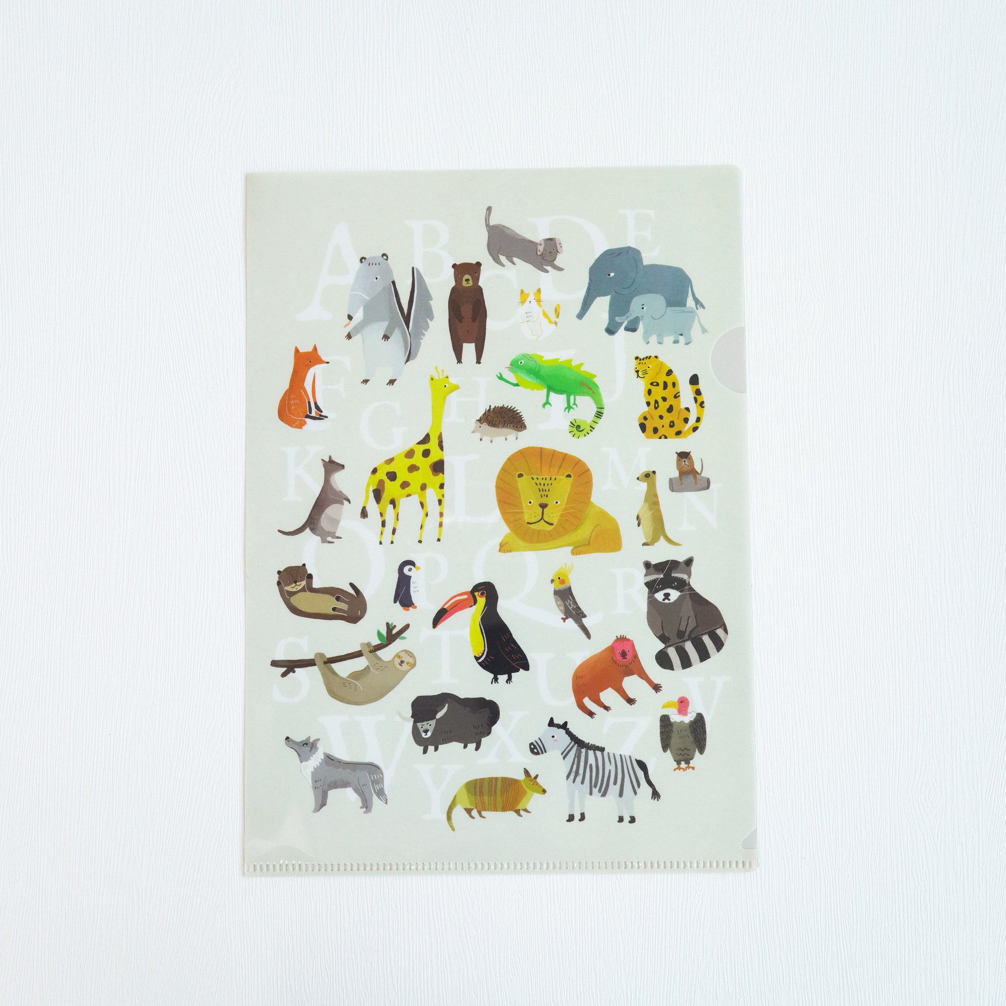 Zoogenic A-Z系列  A4 File