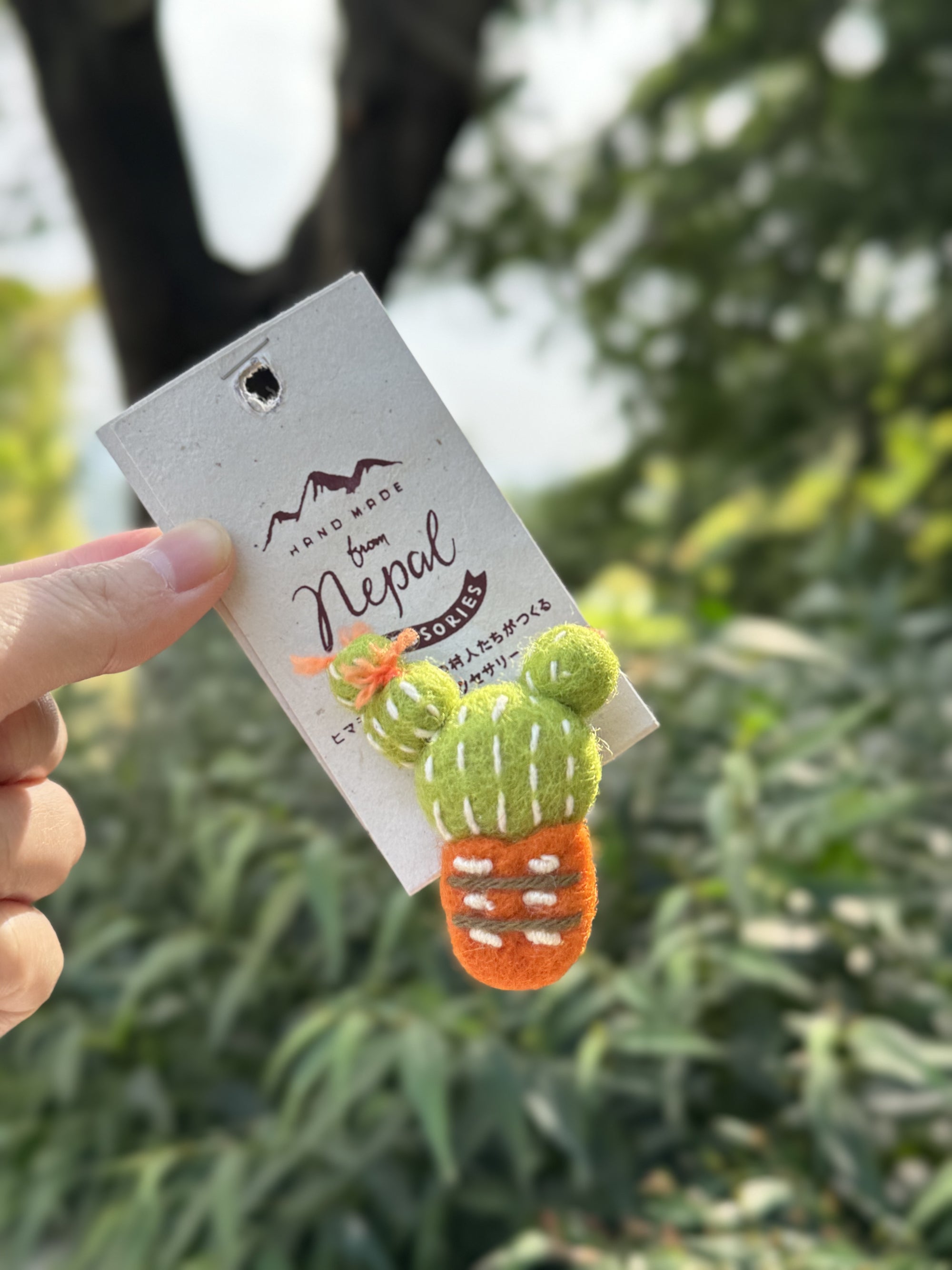 毛冷植物胸針