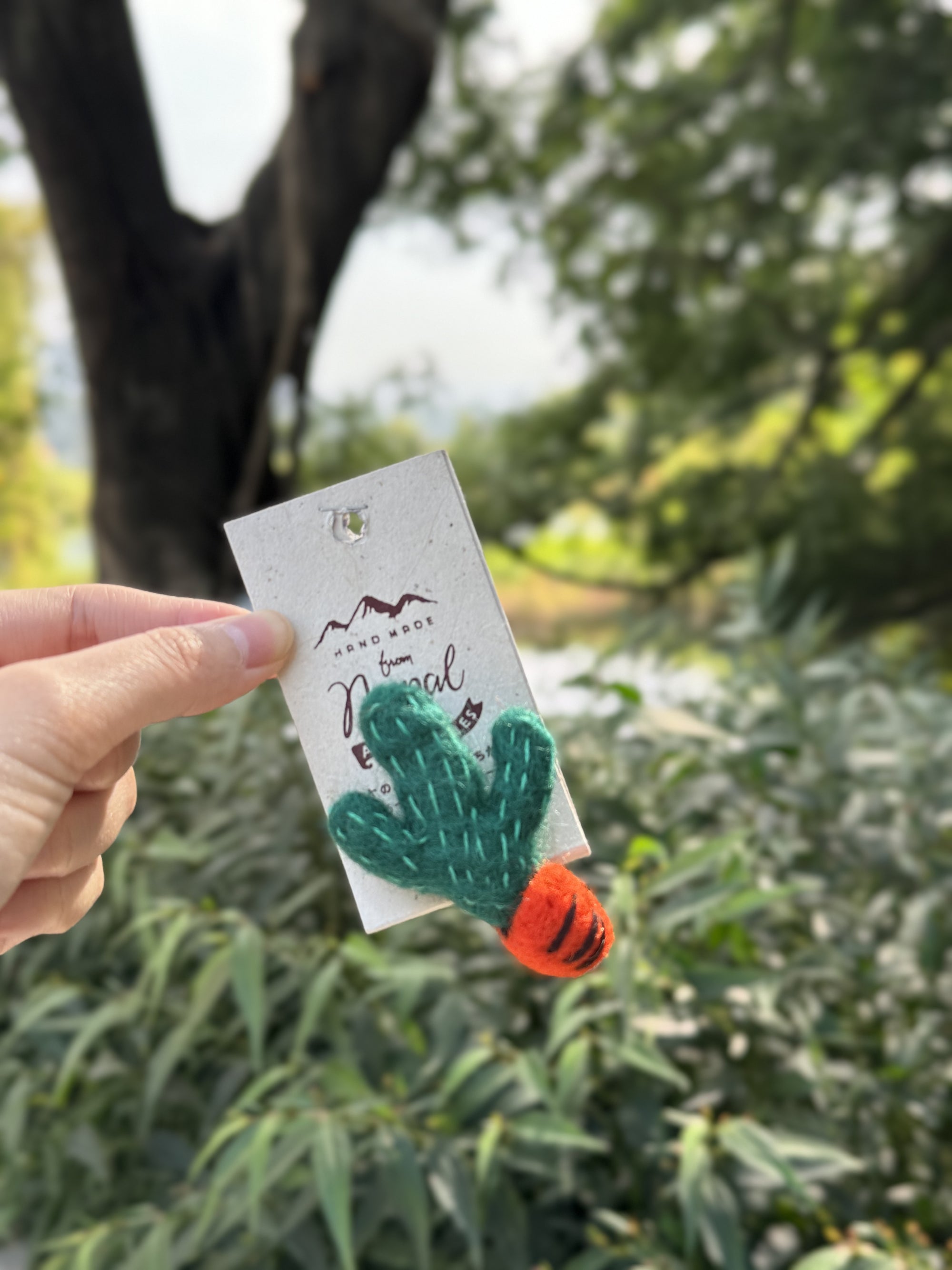 毛冷植物胸針
